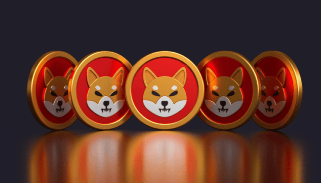 Is It Too Late to Buy Shiba Inu Coin in 2025? Expert Analysis