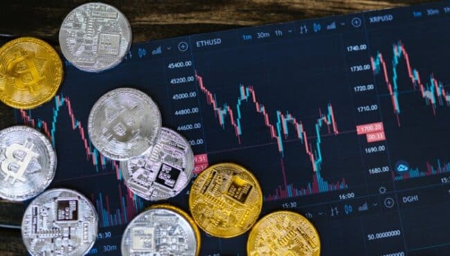 Best Beginner Cryptos to Invest in August 2025