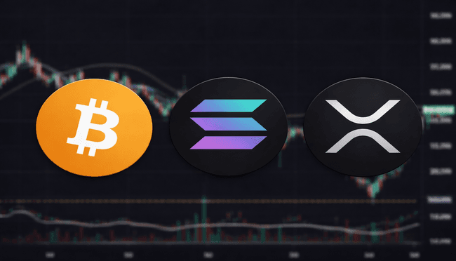 Best Cryptocurrencies to Purchase Now, February 20 – BTC, SOL, XRP